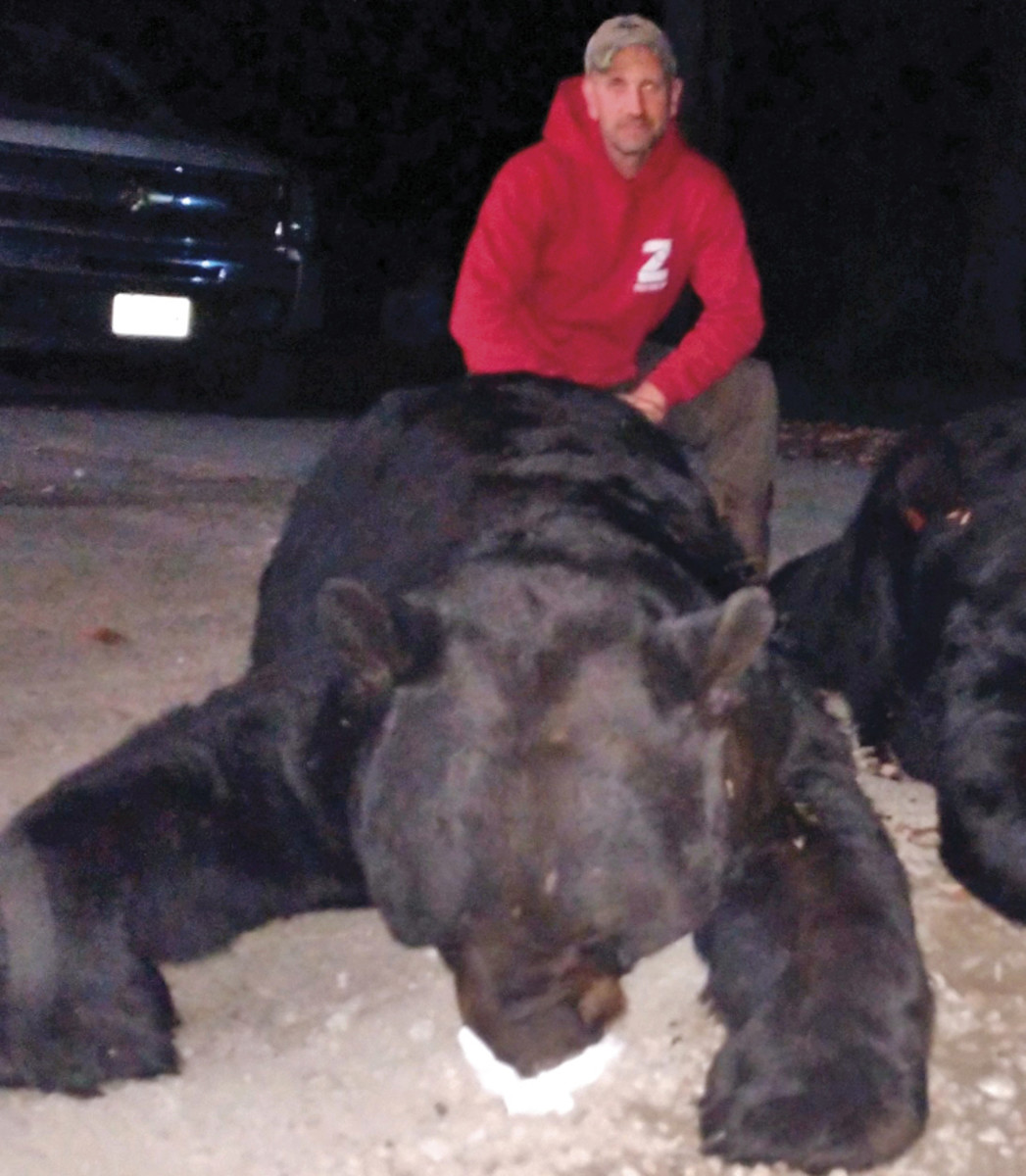 A very particular set of skulls: Melillo, back on his property with his record bear—measured and scored by its head size—and the smaller carcass from another hunter’s haul.